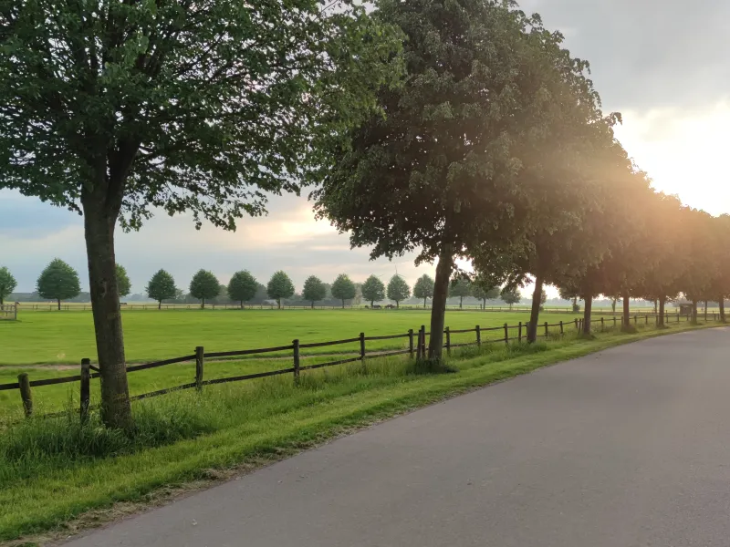 Foto: Vera Sieg, Landschaft am Hötzenhof in Keppeln