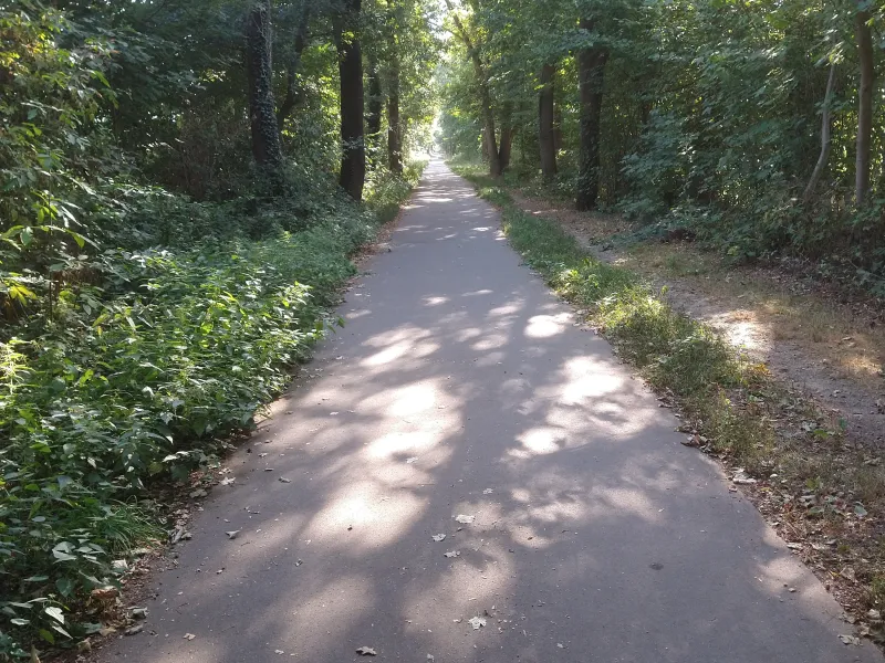 Foto: Hans-Willi Engelen: Boxtelerbahn, Alleenradweg